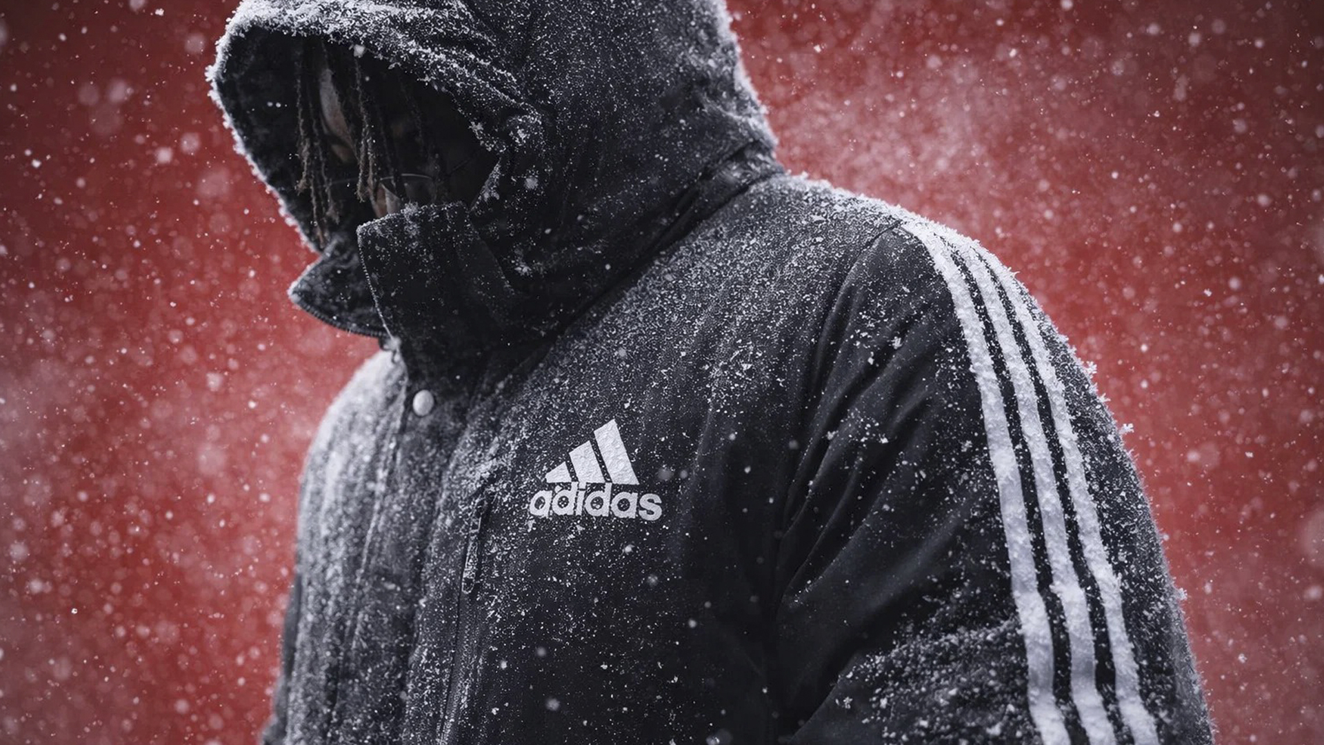 Почему мужчины до сих пор носят куртки Адидас