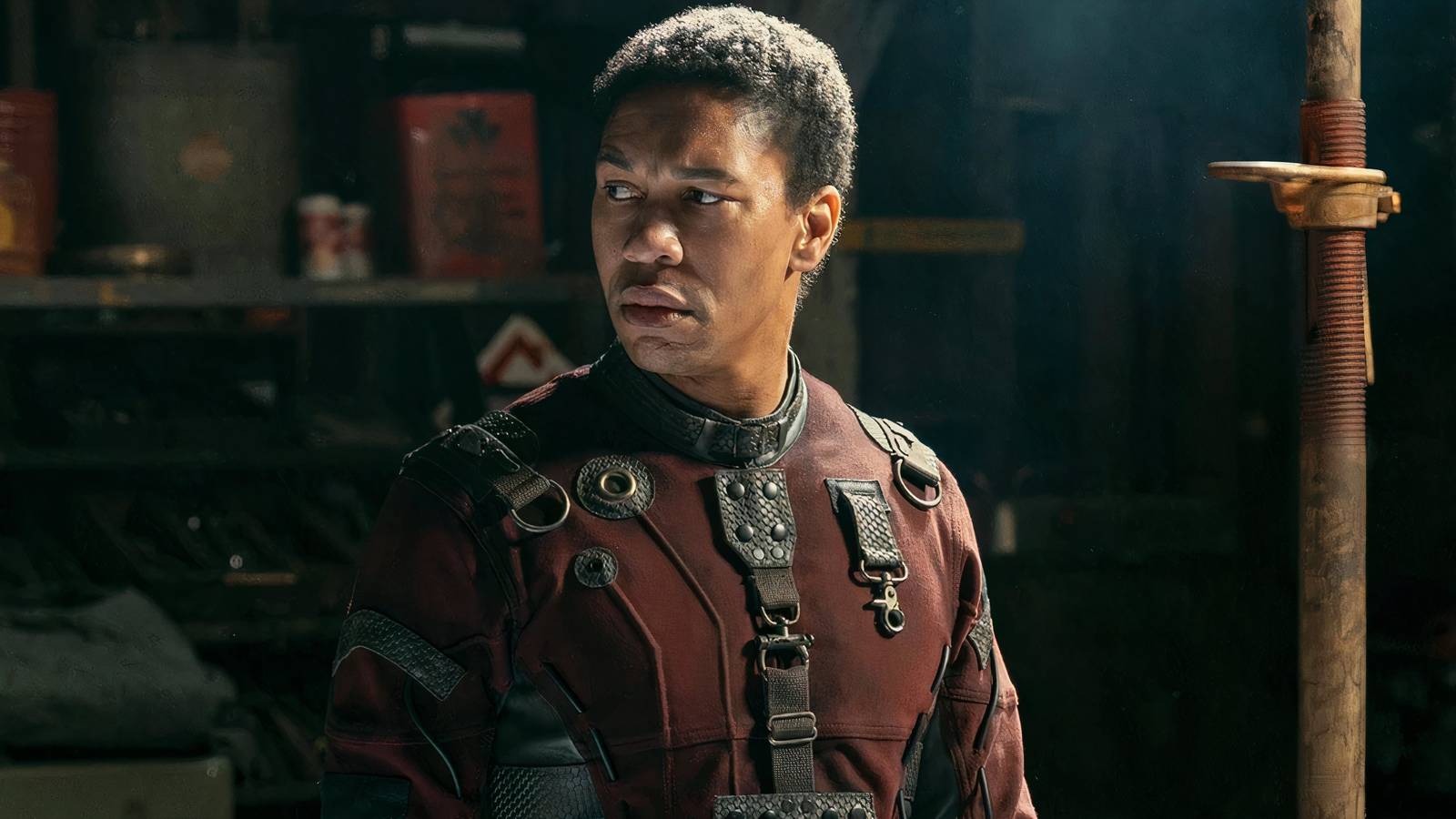 mixcollage 22 mar 2025 02 20 pm